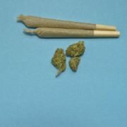 cannabis-collab
